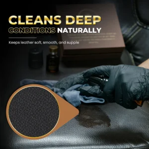Vehicle Interior Cleaning
